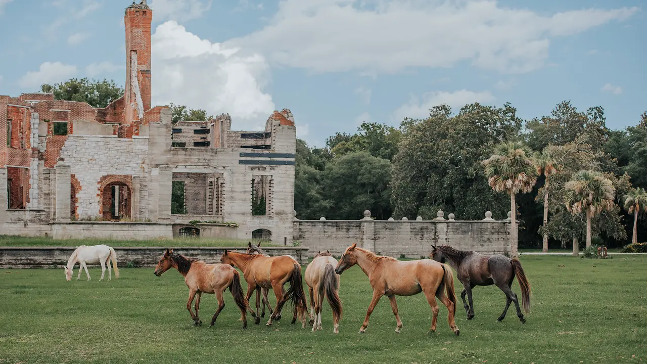 모험, 문화 & 남부의 정취 사진